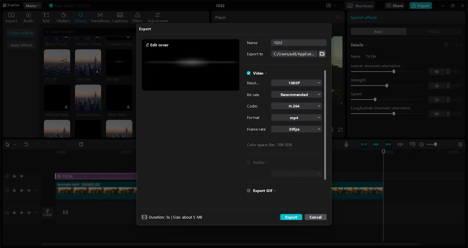 Export Video